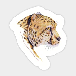 Cheetah Love Sticker